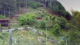 【DIYクリエーターズ】木が腐る原因はいろいろだけど、土に埋もれさせるのはNGですよね。空中ログハウス裏の修繕【素人土木工事】